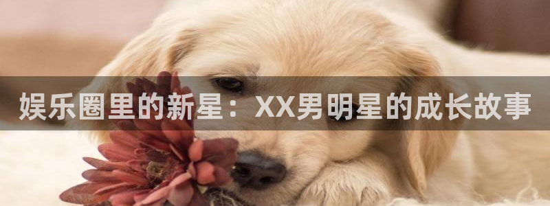 壹号平台注册链接官网下载