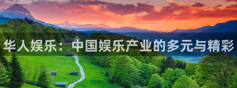 壹号平台下载