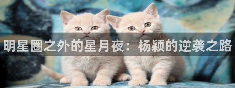 壹号app下载链接