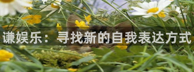 壹号top娱乐