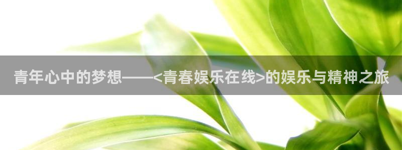 汇富娱乐vip麻将胡了