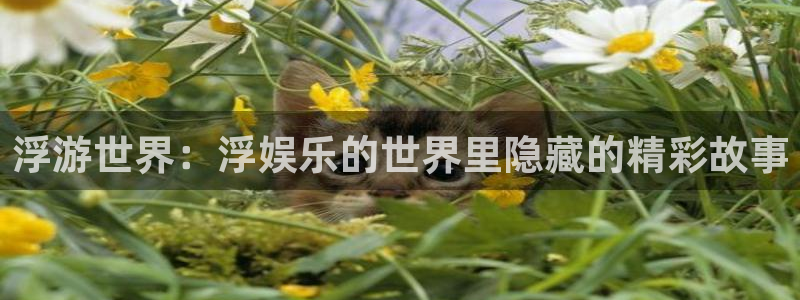 汇富娱乐app下载