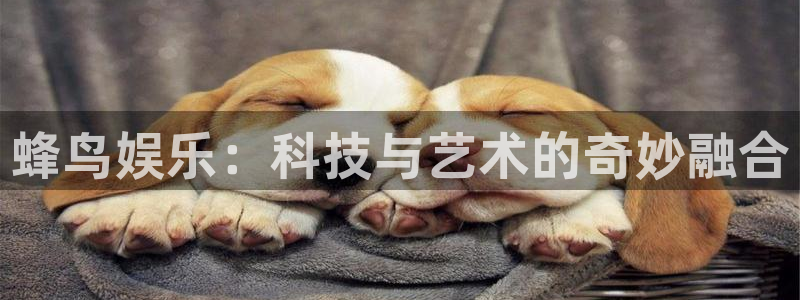 汇富娱乐网站平台