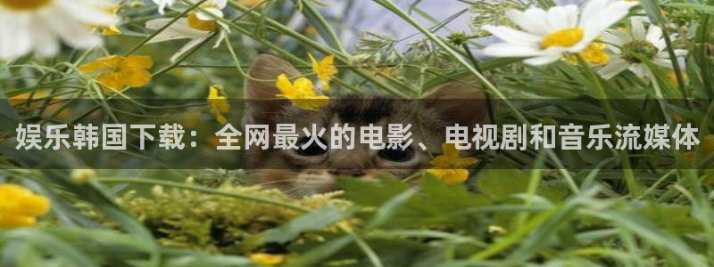 汇富娱乐注册