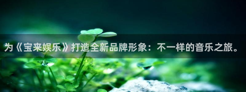 汇富娱乐网站平台登录：为《宝来娱乐》打造全新品牌形象：不一样的音乐之旅。