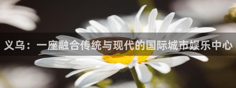 汇富娱乐可靠吗：义乌：一座融合传统与现代的国际城市娱乐中心