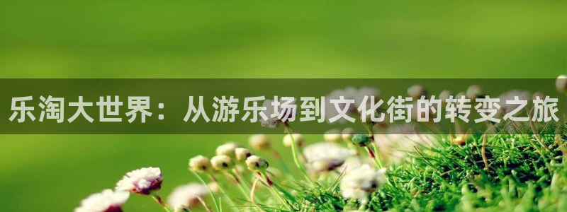 壹号平台娱乐：乐淘大世界：从游乐场到文化街的转变之旅