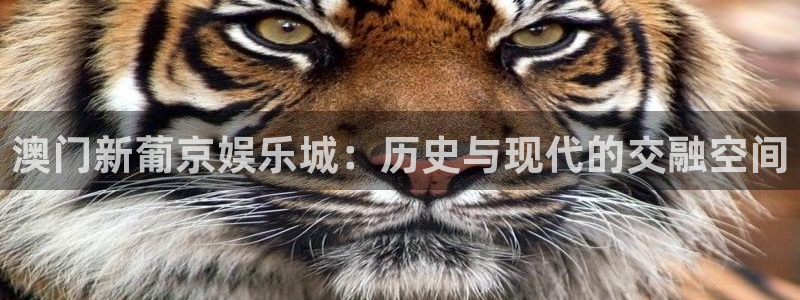 汇富娱乐注册官网入口：澳门新葡京娱乐城：历史与现代的交融空间