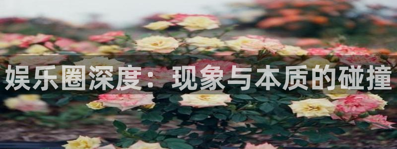 壹号大舞台怎么下载：娱乐圈深度：现象与本质的碰撞