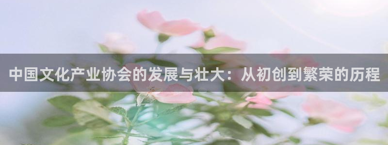 汇富娱乐app最新版：中国文化产业协会的发展与壮大：从初创到繁荣的历程