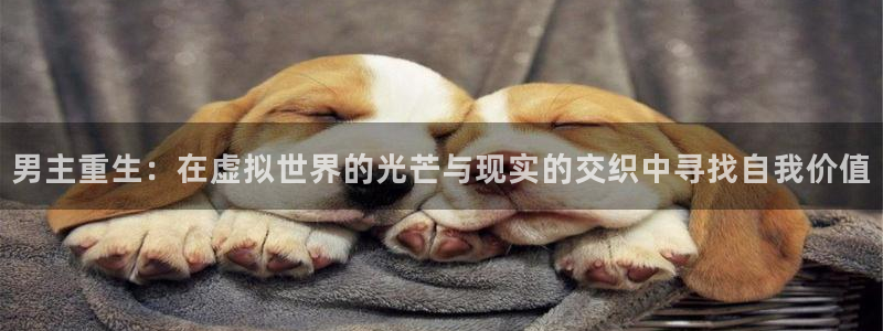 汇富娱乐那个爆率高：男主重生：在虚拟世界的光芒与现实的交织中寻找自我价值