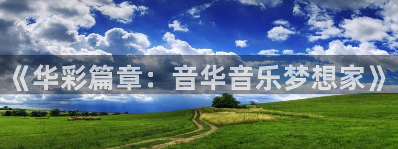 南宫汇富娱乐官网版：《华彩篇章：音华音乐梦想家》